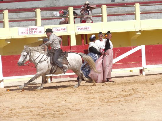 Die Stierhirten zeigen ihren Frauen (und uns) wie gut sie's mit ihren Pferden können......!!