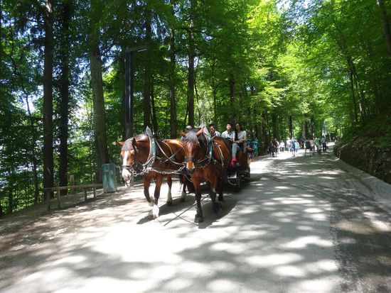 ein schöner Spaziergang, die "Fußlahmen und Alten" könnens bequemer...