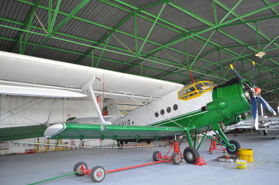 Günstigst in der Ukraine erworbene Antonov ca. 30 Jahre alt. Wird als Arbeitstier in der Land- und Forstwirtschaft eingesetzt oder auch für Fallschirmsprünge.