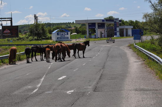 Letzte Chance auf günstigen Sprit