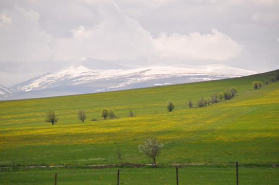 das Hochplateau nach der Grenze in Armenien auf 1.602 Meter