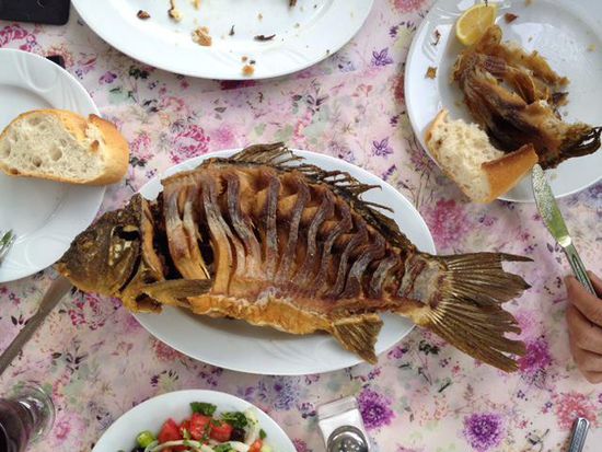 der sagenhafte frittierte Karpfen. Die Schwanzflosse wollte jeder essen, denn angabegemäß soll diese Stück gut für die Augen sein.