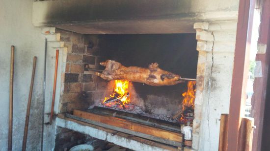 leider hatte das Ferkel noch nicht die richtige Bräune !