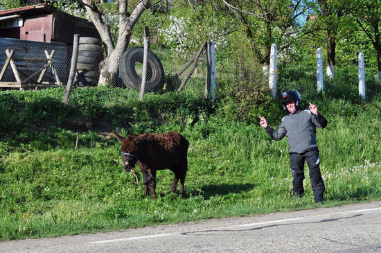 ich komm aus in der Nähe von Aschebersch! --- "iA" 
Hey Norbert und Matthias, ich glaube er lügt aber er spricht unsere Sprache!!!