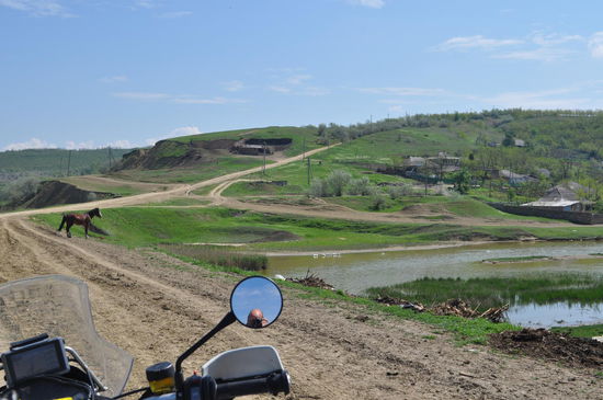 Kilometerlange Piste vom Feinsten, hier zeigt selbst der Gaul nur das Hinterteil...
da es entscheidend ist, wer als Erster die Gruppe anführt, die Hinteren schlucken
nur Staub und sehen wenig!