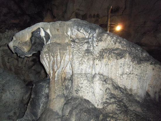 Tiger in der Höhle