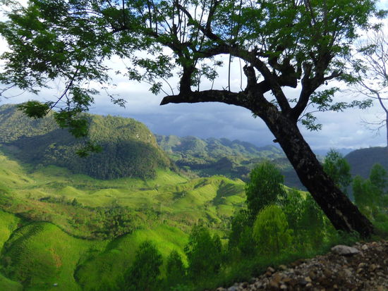Landschaft zwischen Lanquin und Coban