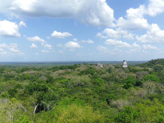 Blick über das Areal von Tempel VI