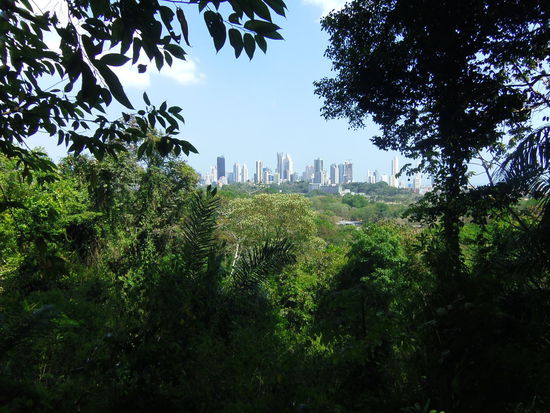 Blick vom Parque Natural Metropolitano auf die Stadt