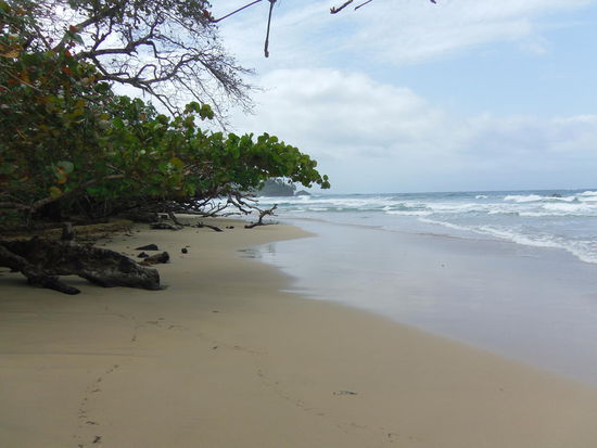 Red Frog Beach