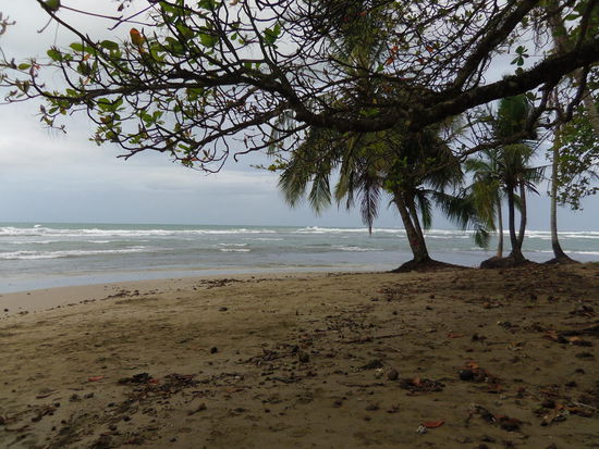 Strand in Puerto Viejo