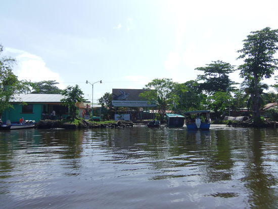 Tortuguero