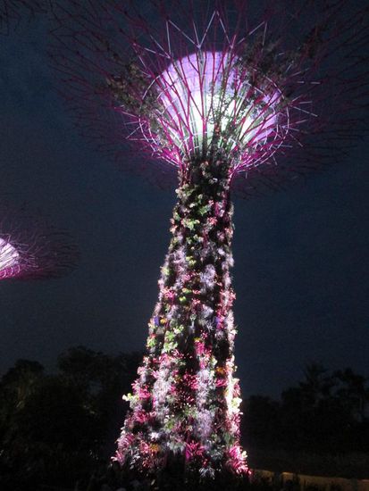 Garden by the Bay