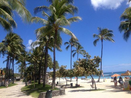 Waikiki Beach