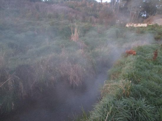 Heißer (37°C) Bach