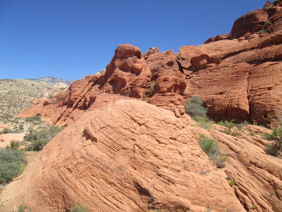 Redrock Canyon