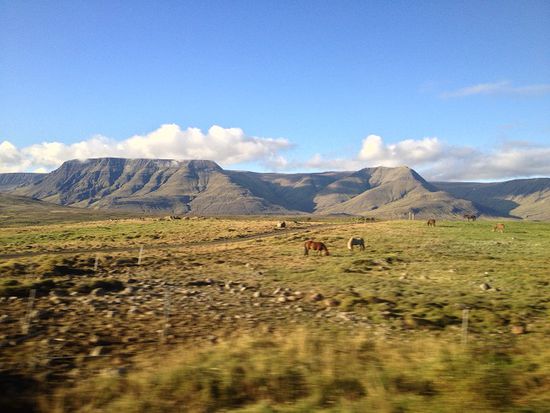 Landschaft
