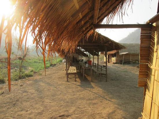 Das ,,Dschungelcamp"