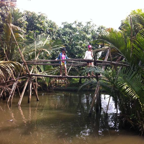 Monkeybridges für Asiaten only :-/