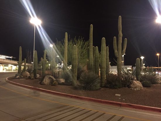 Parkplatz vor dem Flughafen Tucson