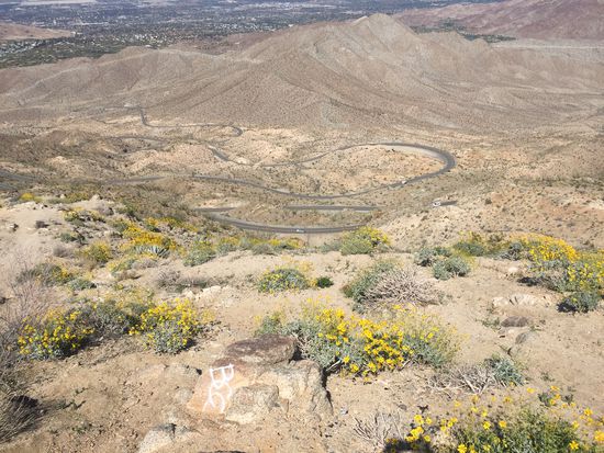 die Strasse in die Wüste