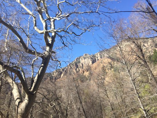 und der Blick nach oben