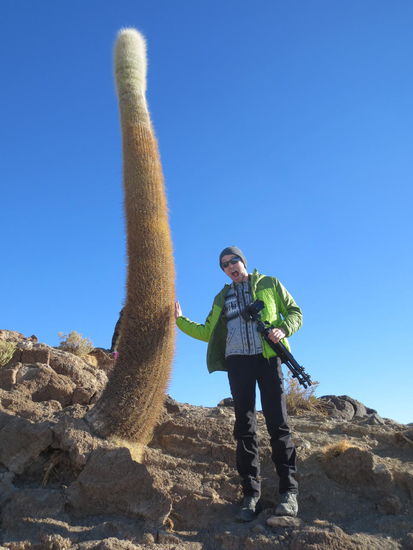 Paul und der Riesenkaktus