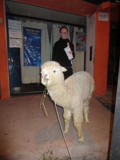 Schneeweißchen und Rosenrot