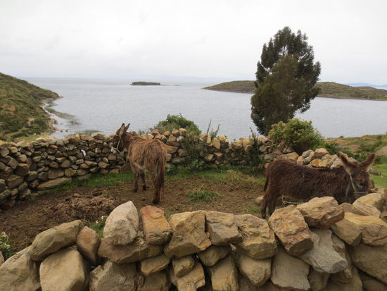 Auf der Isla del Sol