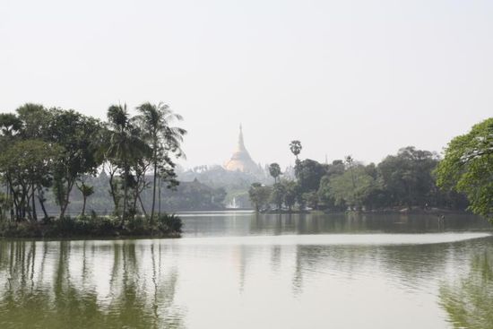 Kandawgyi Park. Wunderschöner Park mit vielen Location. Im Hintergrund sieht man die Shwedagon Pagode.
