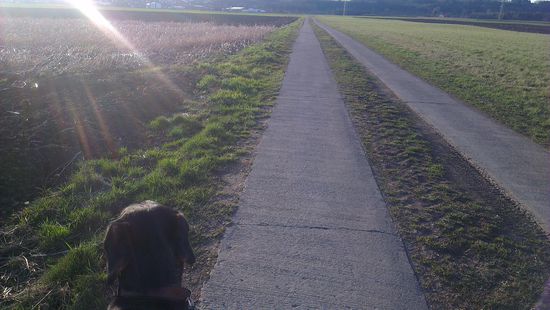 Es wird also noch ein langer Weg bis zum Start der Reise sein.