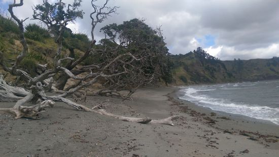 Am Strand vor goat Island