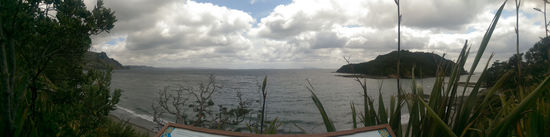 Zu ihrer rechten, goat Island. Warum es so heißt weiß ich auch nicht so genau 