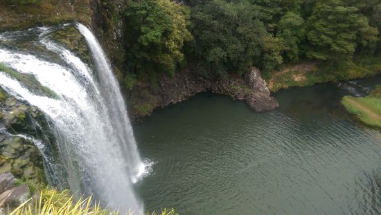 Einer der vielen schönen Wasserfälle. Nur leider weiß ich den Namen nicht mehr es war irgendwo bei Whangarei.