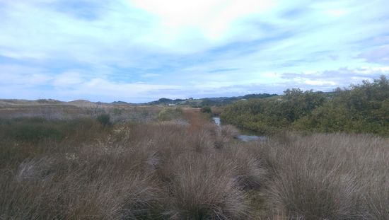 Der wunderschöne Blick Richtung Meer vom Camper aus 