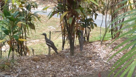 Ja es lebt, es ist keine Deko. Aber was das für flattermänner waren wissen wir nicht 