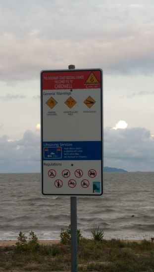 Vorsicht! Krokos, quallen und keiner der einen ausm Wasser angelt 