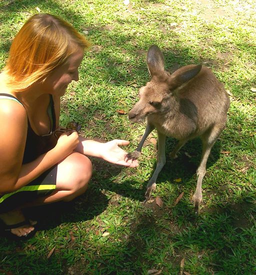 Ja, das Känguru gab mir ganz vornehm die Hand 