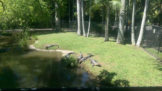 Da war mir der Zaun doch ganz recht ...