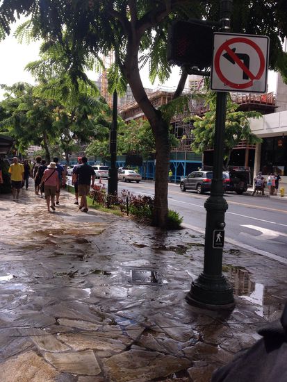 Kurz nach dem es mal wieder geregnet hatte 