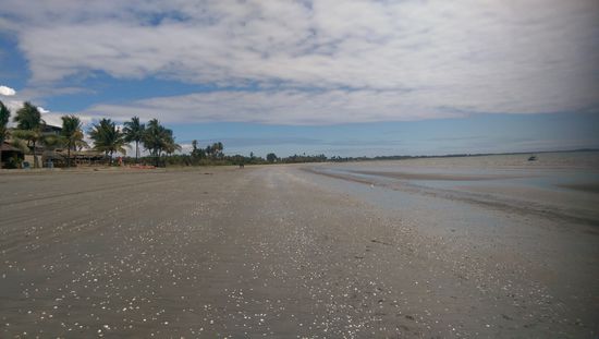 Unser Strand Muscheln übersäht.