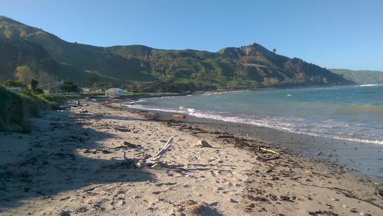 Direkt am Meer campen macht Spaß, am Campingplatz in der Nähe von  Gisborne.