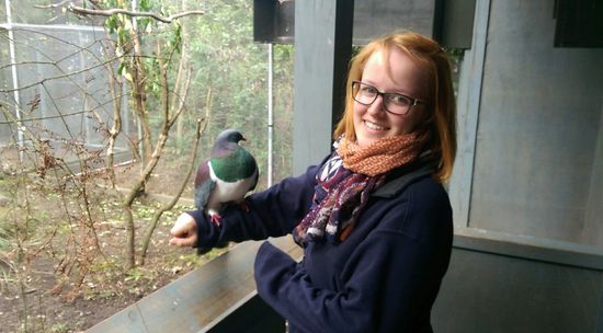 Ja, das ist die wohl fetteste Taube der Welt 