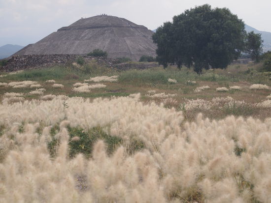 Die Sonnenpyramide, war ein bisschen anstrengend, da hoch zu steigen!