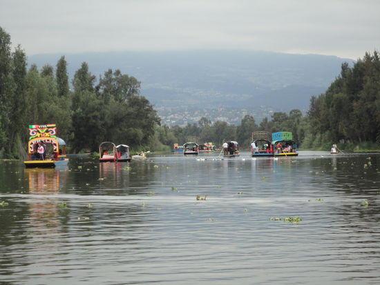Hauptkanal in Xochimilcos, fast wie auf dem Rhein!