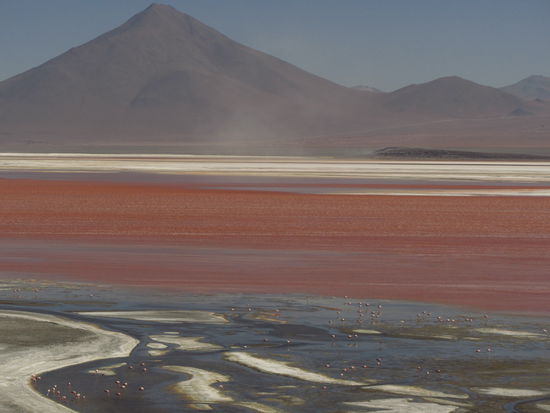 La Laguna Colorada