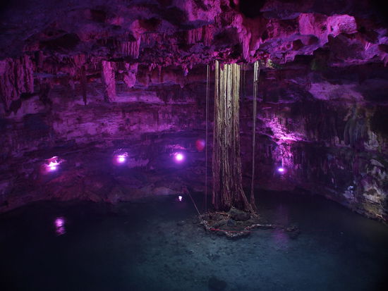 Cenote bei Valledolid, es sah wirklich so aus!