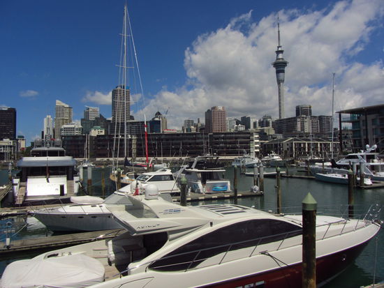 Der Blick vom einen Yachthafen auf den Skytower in  Auckland (leider wollte der Besitzer nicht verkaufen...)