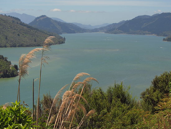 Blick auf den Marlboroughsound auf dem Weg nach Nelson