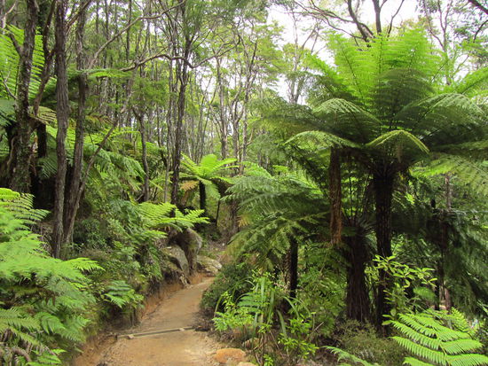 Unterwegs auf dem Abel Tasman Track